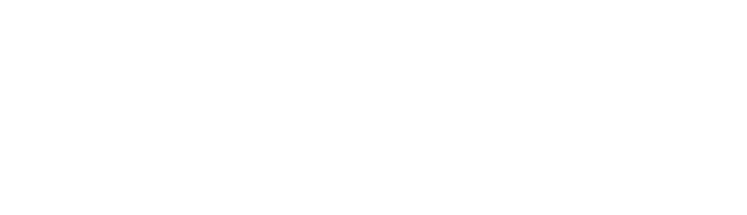 Logo Rockstroh_weiß
